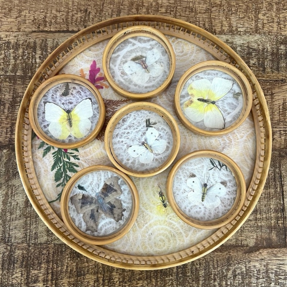 Bamboo Butterfly Coaster Set